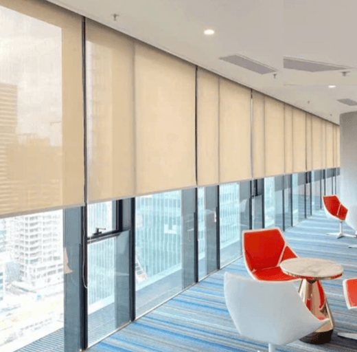 Rèm cuốn lưới cao cấp